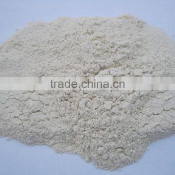 Dehydrated White Onion Powder