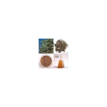 Gotu Kola Herb Extract 10-80% Triterpenes
