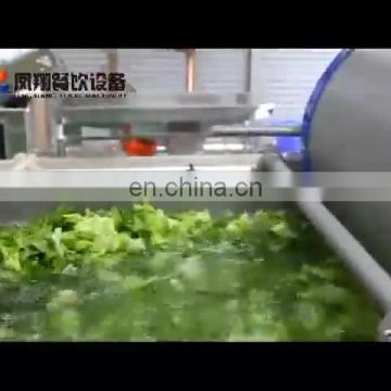 Automatic Bean Sprouts Washer Washing Cleaning Dewatering Machine