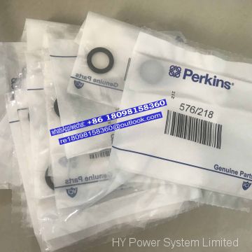 576/218 Perkins O Ring for 4000 series engine parts