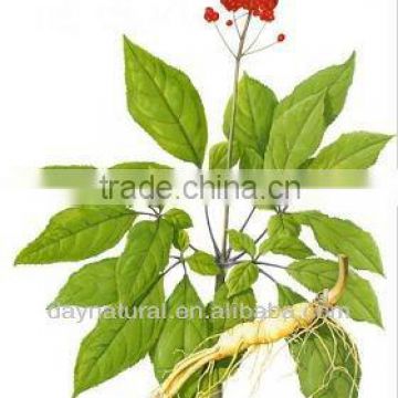 Best Selling Pure Natural Panax Ginseng Extract