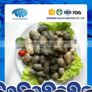 Frozen Boiled Short Necked Clam Size 21-30