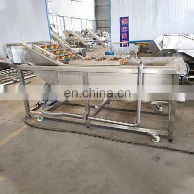 On Sale Conveyor Continuous Bubble Washer Machine For Cleaning Fruit Vegetable Salad Cleaner Tomato Apple Cleaning Potato Carrot
