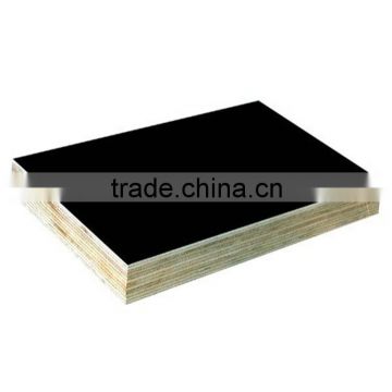 China manufacturer supply Finger Jointed film faced plywood
