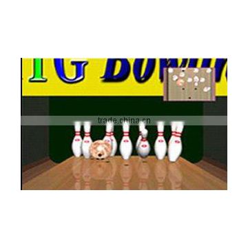 simulated bowling