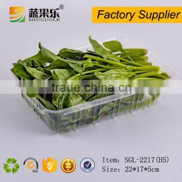 PET cheap blister disposable plastic fruit tray