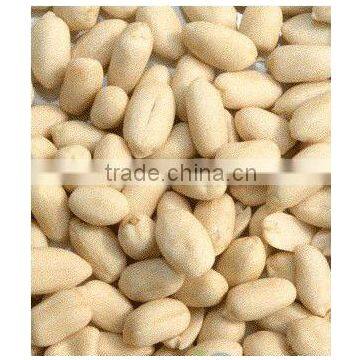 Chinese Blanched Peanut Kernels