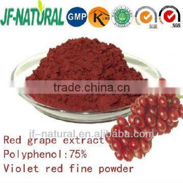 Red grape extract KOSHER factory