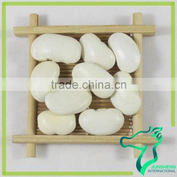 Different Types Of Large Type White Kidney Beans