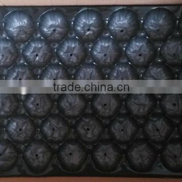 2016 Main Promotion Europe Market Popular Food Grade Polypropylene Fruit Nest Tray Made in China