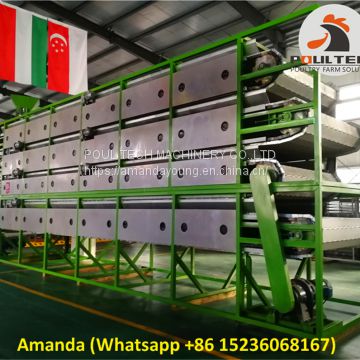 Poultry Farming Automatic Chicken Manure Drying Machine & Automatic Chicken Fowl Dung Drying Machine
