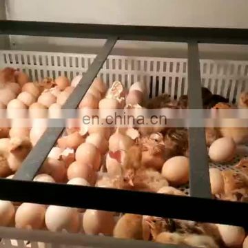 10000 Ostrich Chicken egg incubator