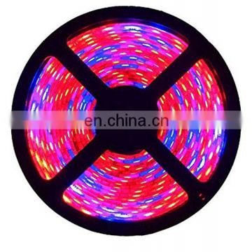 new flower Phyto diy plant grow lights 5M/roll full spectrum flexible led strip light  for greenhouse hydroponic