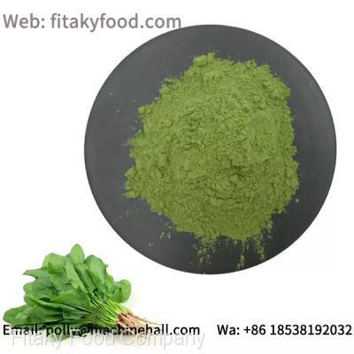 Organic Spinach Powder For Sale Without Any Food Additives