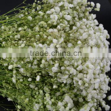 High quality manufacture flower arrangements with gypsophila