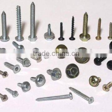 Manufacture Factory supply screws and fasteners
