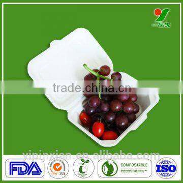 Custom biodegradable disposable paper pulp eco-friendly food tray