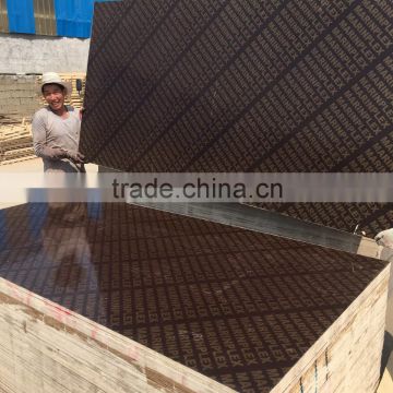 Factory Linyi Film Faced 18mm Plywood / Marine plywood Prices