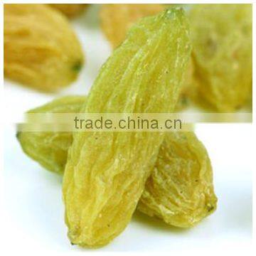 green dried raisins