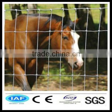 galvanized steel deer fence (ISO9001)
