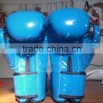 Blue Boxing Gloves