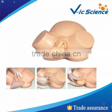 Midwifery Training Simulator Model, birthing mannequin