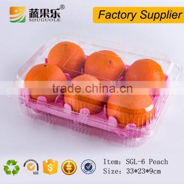 High quality fruit clamshell packaging tray for 6 pcs peach