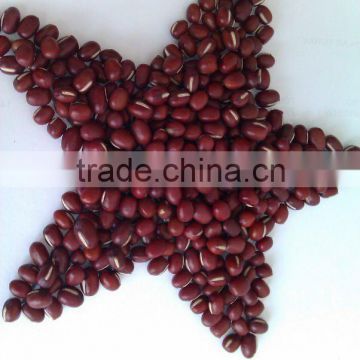 Organic Adzuki Bean( 2010 crop,heilongjiang origin, Hps ,Polished)