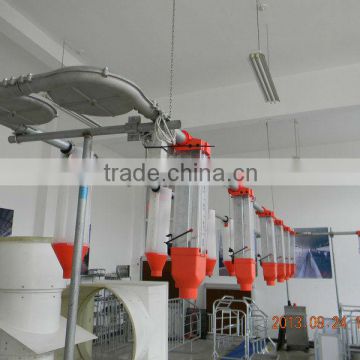 labor saving automatic pig feeding system with low price