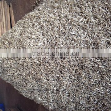 DRIED BOILED ANCHOVY FISH SELLER (Email: katherine.vilaconic@gmail.com, Viber, Whatsapp: +841687264621)