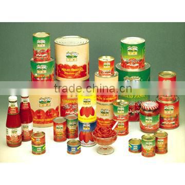 canned tomato paste ,tomato sauce,sachet tomato paste