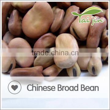 Chinese supplier natural bell bean