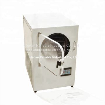 Continuous vacuum lyophilizer freeze dryer