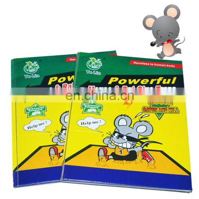English Edition Mouse Trap Mouse Size Glue Traps Sticky Boards Professional Strength Mouse Glue Traps