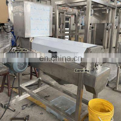 GYCH small 500kg lychee litchi peeling juicer machine