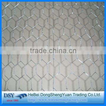 Chicken wire mesh/Galvanized Hexagonal wire netting/galvanized fish lobster trap hexagonal wire mesh