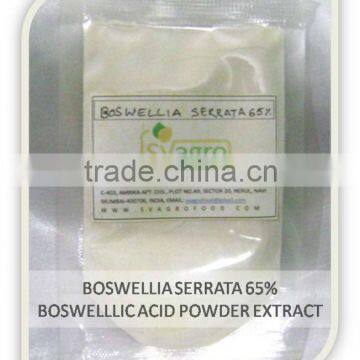High quality Boswellia Extract