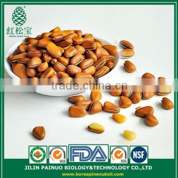 Provider Convenience Food Sweets Siberian Open Pine Nuts in Shell