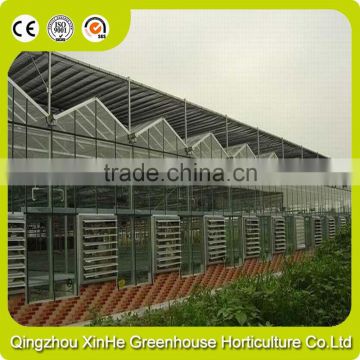 Low Cost Multi-Span Agricultural Greenhouse Light Deprivation Greenhouse