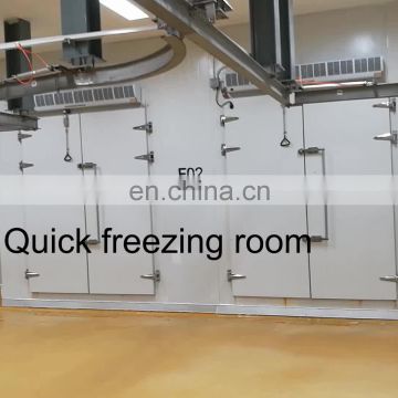 China industrial continuous freeze Drying Fruit Machine price for sale with3000kg capacity