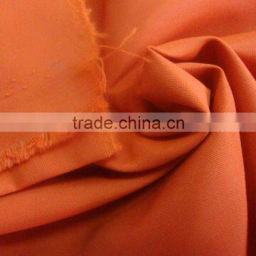 Poly Taslan Fabric