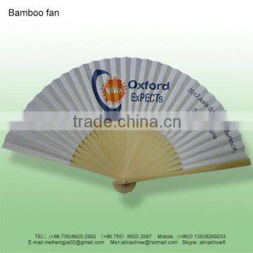 Chinese Promotion Fan