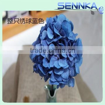 Newly colorful artificial hydrangea preserved hydrangea made of fresh cut flower