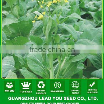 PK22 The no.2 white pakchoi shum seeds, different types of vegetable seeds for sale