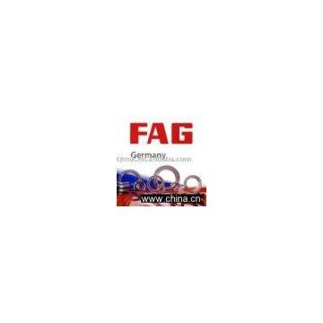 fag needle roller bearing,fag bearing