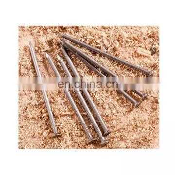 Galvanized Steel Nails With BWG 12X2.5"