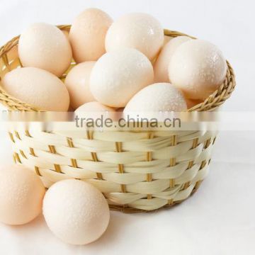 bargain price ffor egg promotion