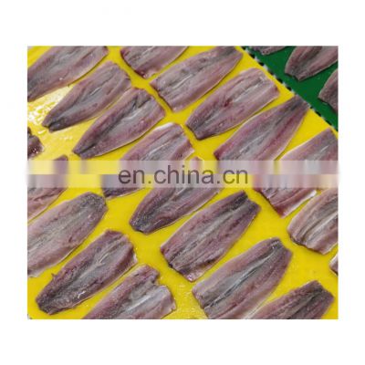 IQF frozen clean sardine fish fillet for processing
