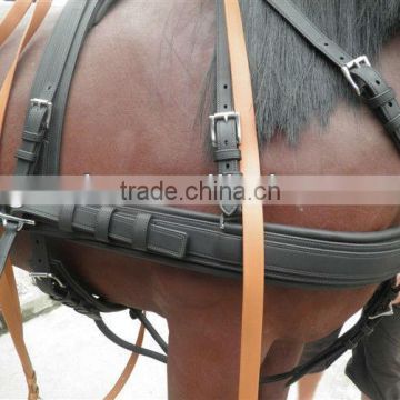 Lemico Horse harness