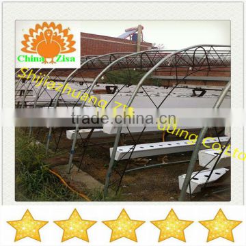 greenhouse for vegetables used growing tray
